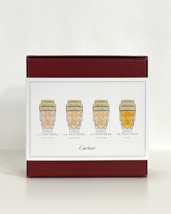 طقم كارتير النسائي الصغير
