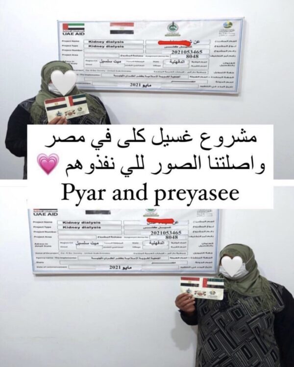 Kidney dialysis project in Egypt